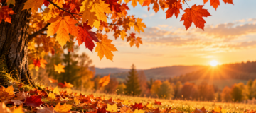 Goldener Herbst im Abendlicht